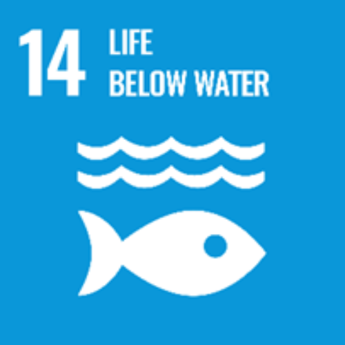 Goal 14 — Life Below Water